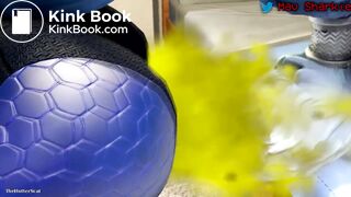 Star Fox Female and Krystal Hyperscat