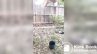 P.P shitting from a tree