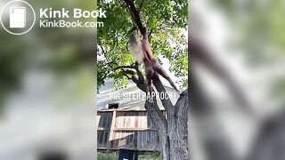 P.P shitting from a tree