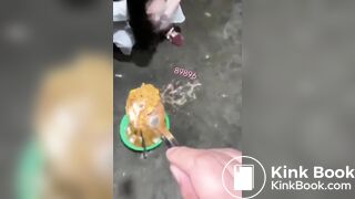 SCAT SLAVE eat public toilet shit - ... - puke