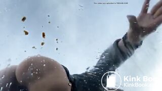 Poo on the windscreen of a car..