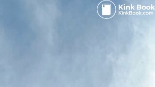 Poo on the windscreen of a car..