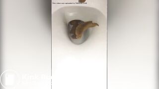 Sexy girl pooping 1.9