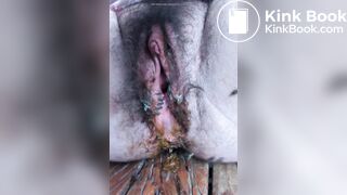 flies in dirty smelly pussy