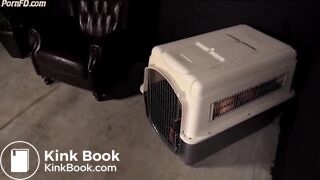 Japanese Femdom Scat Bitch