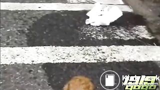 Japanese Girl outdoor scat