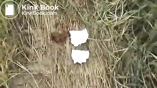 Russian girl outdoor pee and poo..