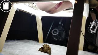 four view ... scat