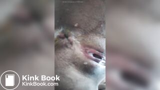 20240817 my turd of the day