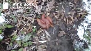 Amateur girl Alina poop and fart in the forest - video 2