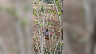 Outfoor shit poping morning