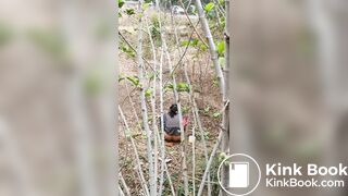 Outfoor shit poping morning