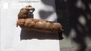 Fat log on the porch