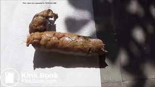 Fat log on the porch