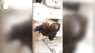 japanese toilet - video 140
