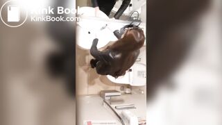 japanese toilet - video 140