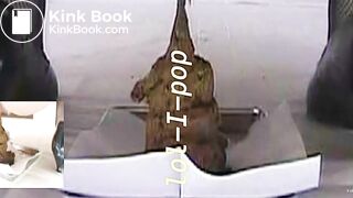 Amazing Distended Assholes - video 2