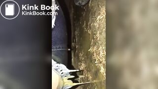 Ruining her pants in the woods..