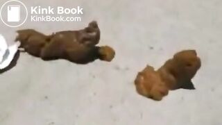 Lady poops on pathway