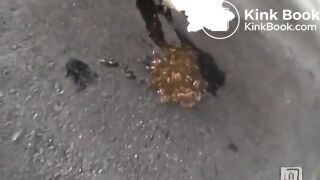 Japanese outdoor poo..