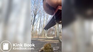 Girl shits off the side of a park bench