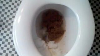 Large amount of excrement in toilet bowl