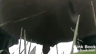 Outdoor poo in the grass..