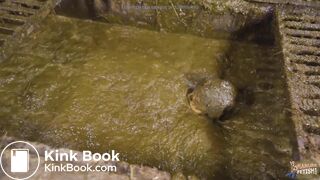 manurefetish Kaitlyn ...