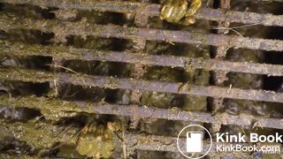 manurefetish Kaitlyn ...