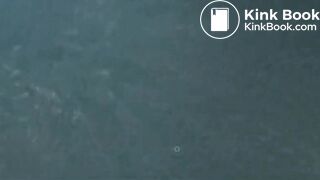 Pooping in a plane toilet