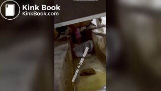 Chinese Trench Toilet Shitting