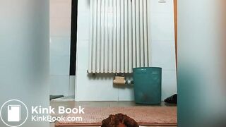 Massive pile of shit