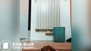 Massive pile of shit