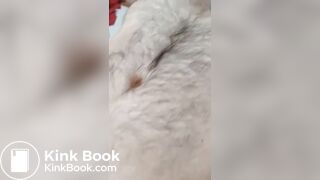 Manure Sports Dungball - gangbang in cowshit