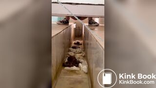 Beautiful women pooping in the toilet 15