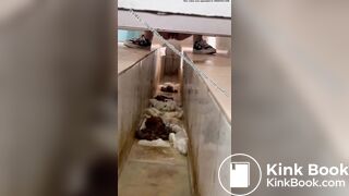 Beautiful women pooping in the toilet 15