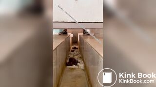 Beautiful women pooping in the toilet 15