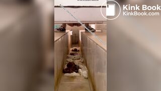 Beautiful women pooping in the toilet 15