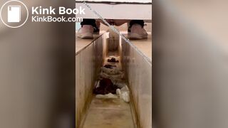 Beautiful women pooping in the toilet 15