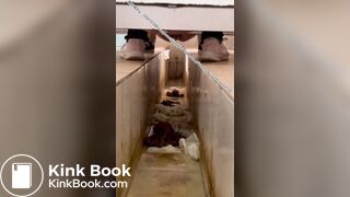 Beautiful women pooping in the toilet 15