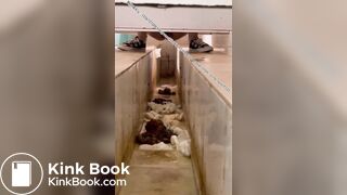 Beautiful women pooping in the toilet 15