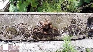 Redhead poops outdoors..