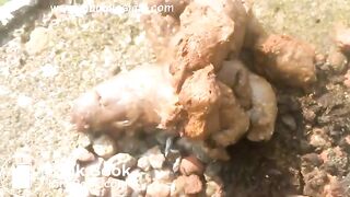 Redhead poops outdoors..