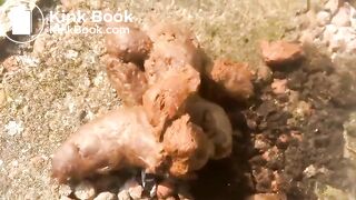 Redhead poops outdoors..