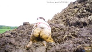 Massive dung pile - lots of cowshit