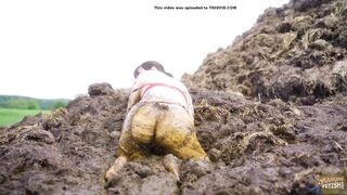 Massive dung pile - lots of cowshit