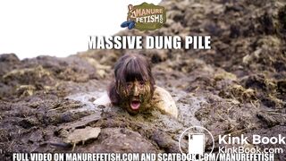 Massive dung pile - lots of cowshit