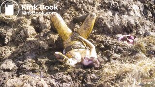 Watched on the dunghill - girl covered in cowshit