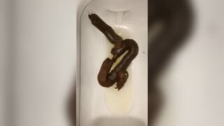 恋人 の うんち 十四