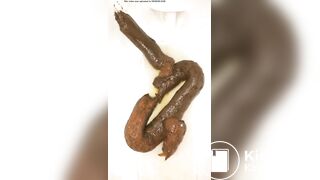 恋人 の うんち 十四